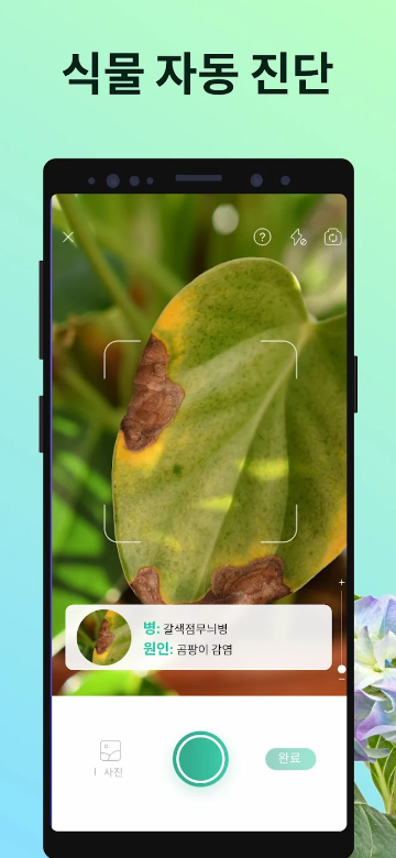 식물과 함께하는 삶을 풍요롭게 만드는 PictureThis 리뷰, AI 식물 찾기, 식물 관리, 식물 인식, 식물 건강, 식물 식별