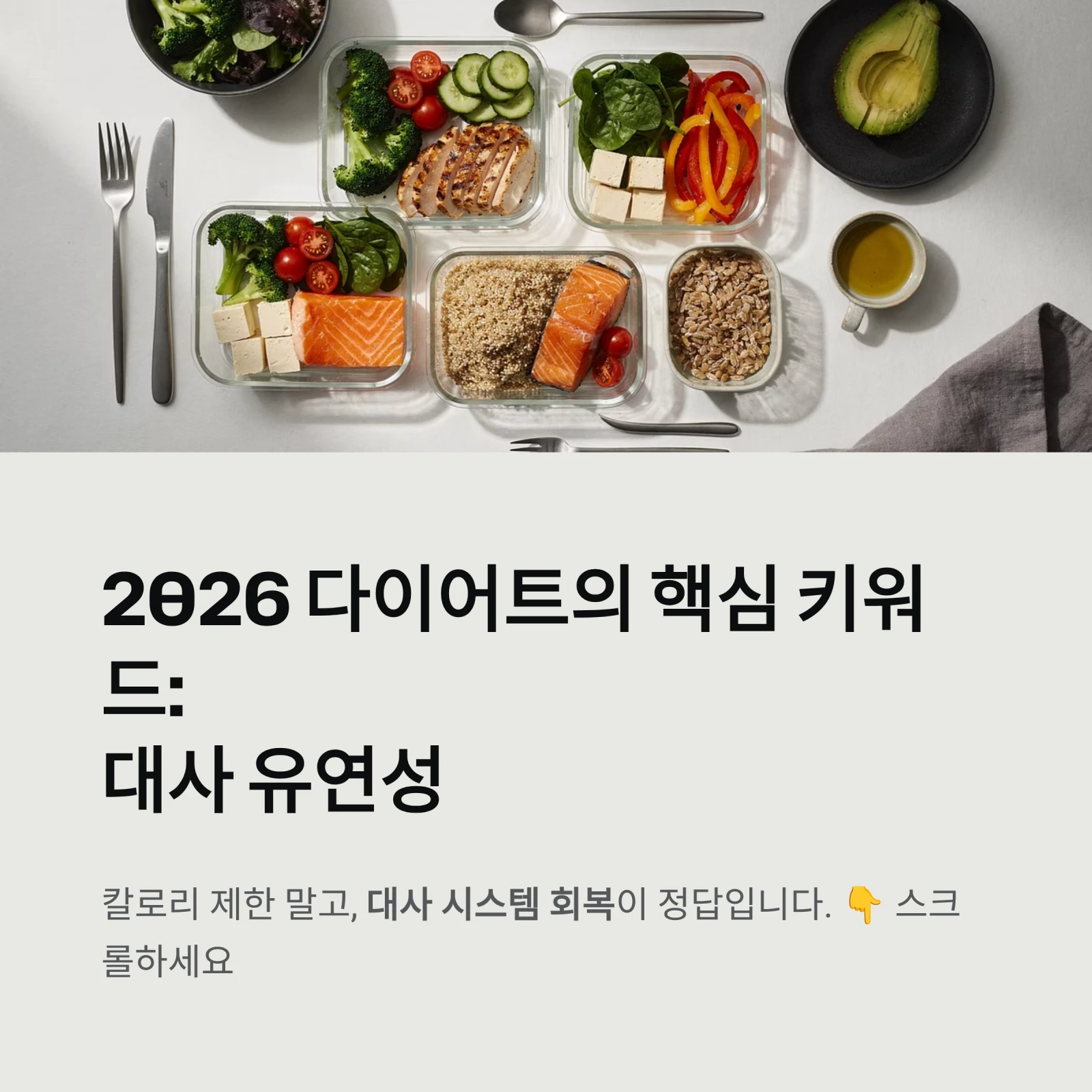 2026 다이어트의 핵심 키워드