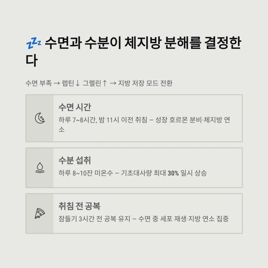 수면과 수분이 체지방 분해를 결정한다
